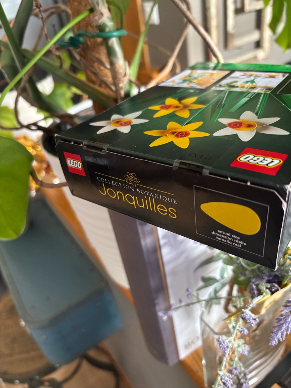 LEGO Botanical Collection - Daffodils - Picture 3 of 7